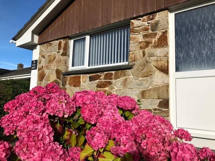 WhatsApp+Image+2020-08-05+at+18.14.23+(2)